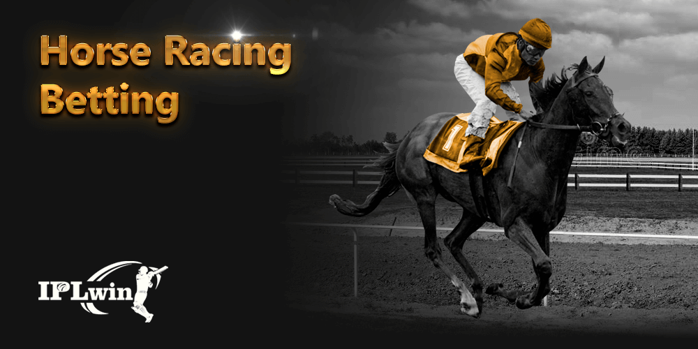 bets365br
